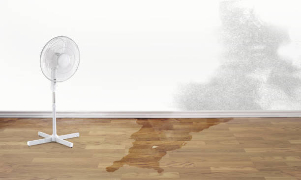 Best Flood restoration services  in Rankin, PA