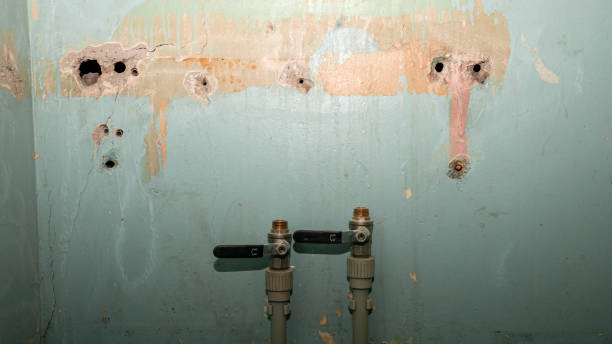 Best Mold removal after water damage  in Rankin, PA