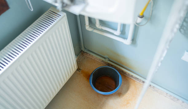 Best Water damage contractors near me  in Rankin, PA