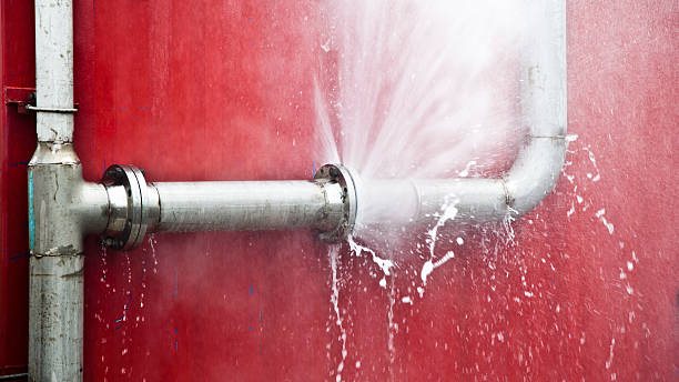 Best Local water damage restoration  in Rankin, PA