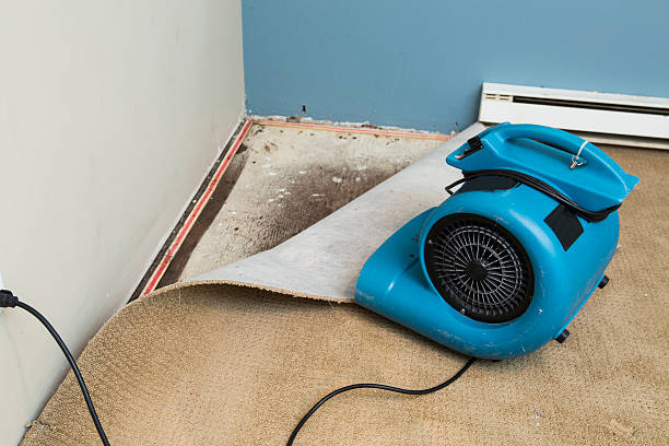 Best Sewage cleanup and water damage restoration  in Rankin, PA